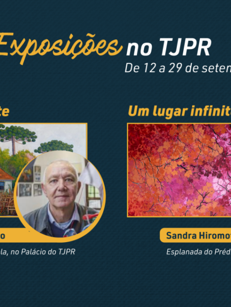 11 exposição